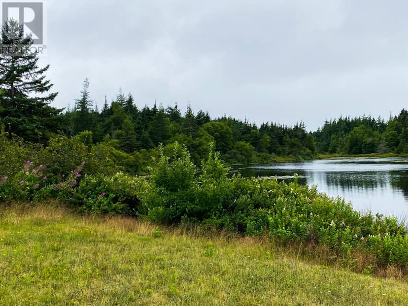442-446 Conception Bay Highway — photo 8 of 8