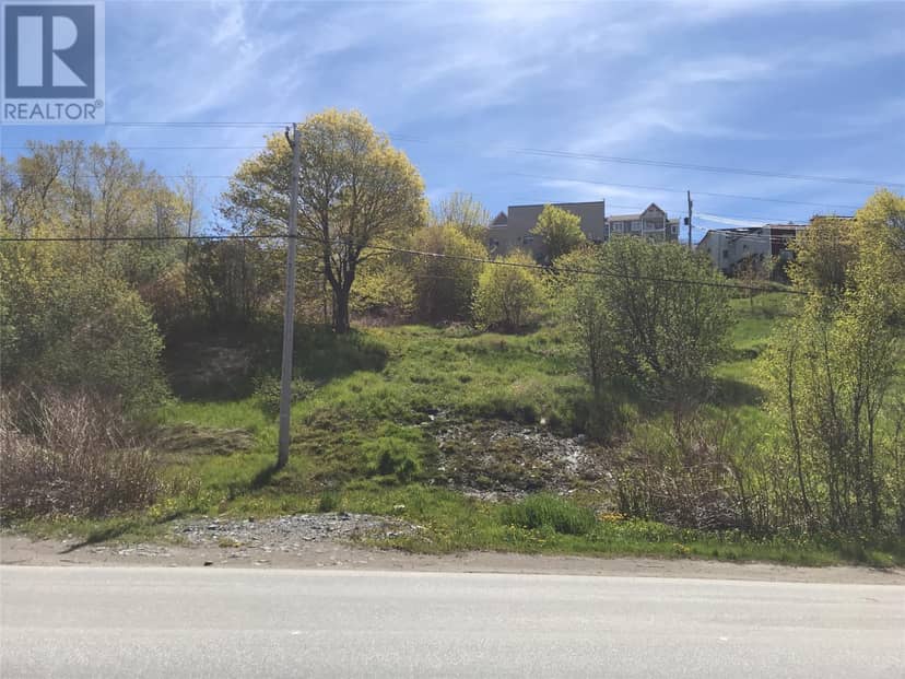 4 Fradshams Lane, Corner Brook, photo 2