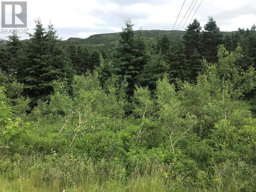 0 Snows Lane Road — photo 1 of 5