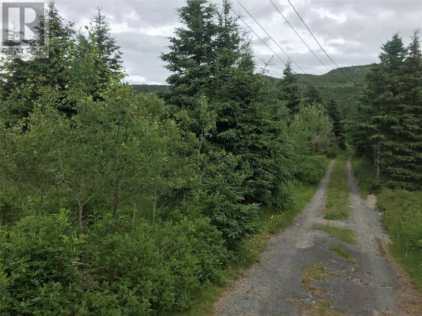 0 Snows Lane Road — photo 3 of 5