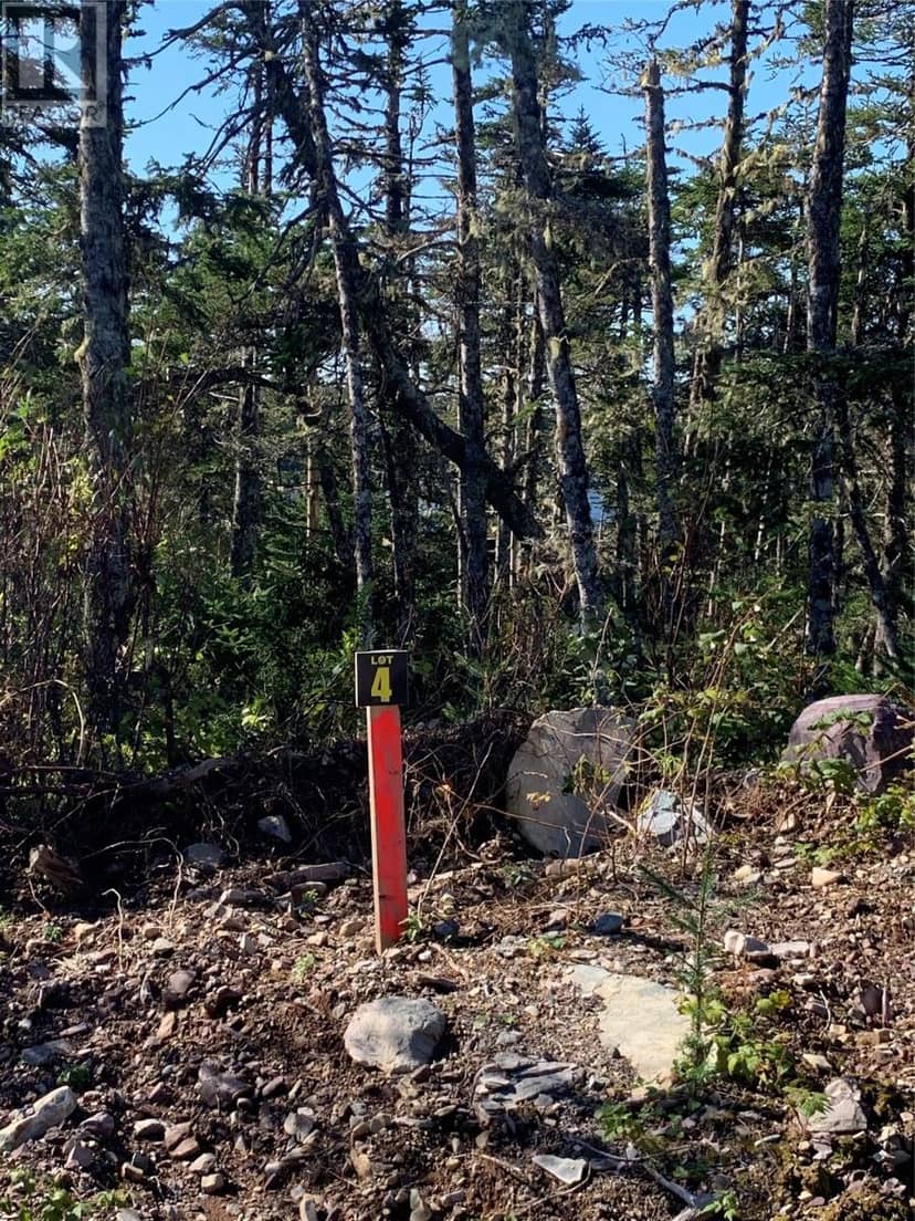 Lot 28 Halleran Trail — photo 5 of 19