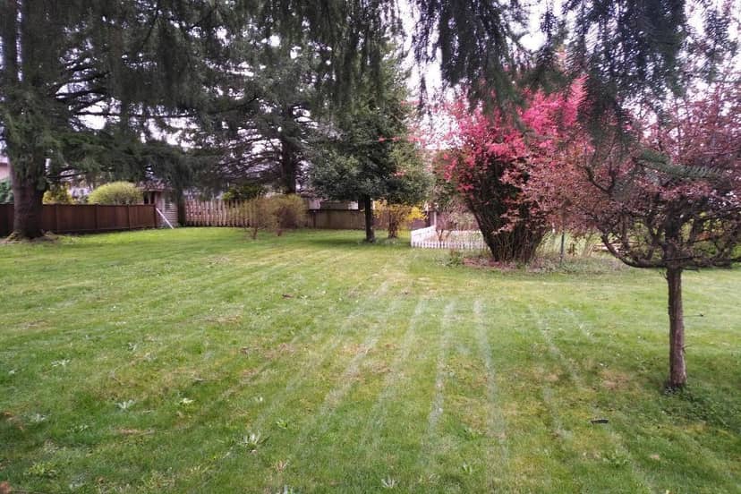 11726 203 STREET, Maple Ridge, photo 2