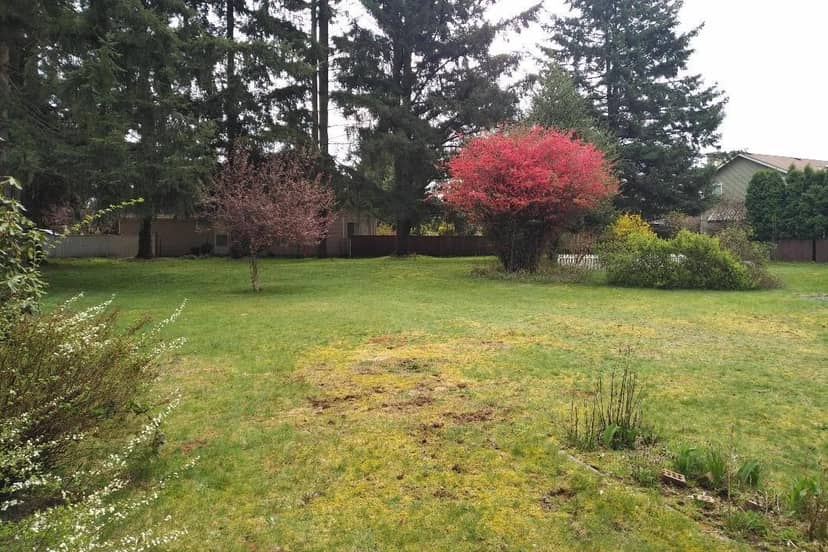 11726 203 STREET, Maple Ridge, photo 6