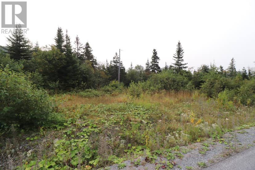 10 Hollands Memorial Drive, Norris Point, photo 3