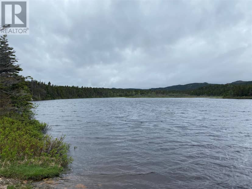 78 Cameron Place, Pouch Cove, photo 4