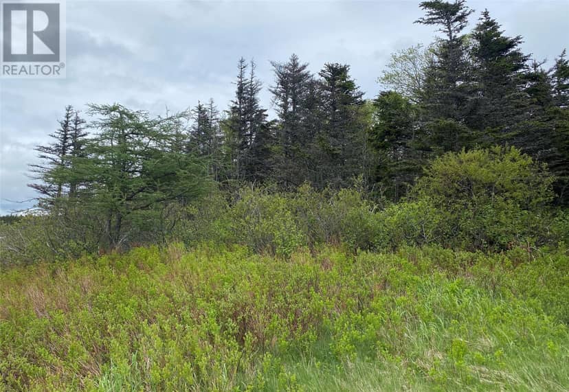 2 Spruce Grove Drive, Pouch Cove, photo 2