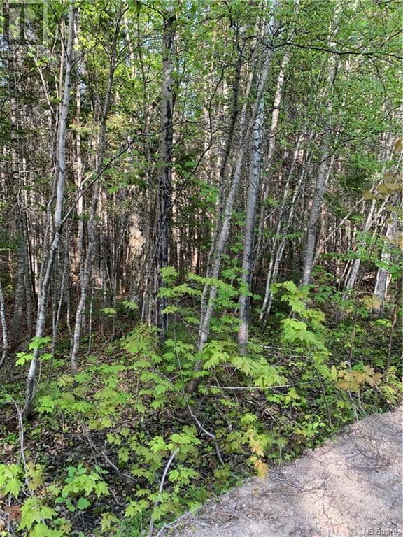 Lot 79-2 Route 134 Galloway, Galloway, photo 2