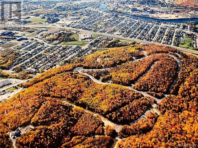 Lot 115 Rue Le Montagnard, Edmundston, photo 3