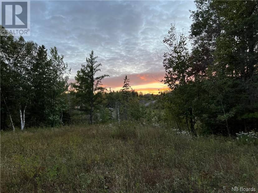 Lot 115 Rue Le Montagnard, Edmundston, photo 2