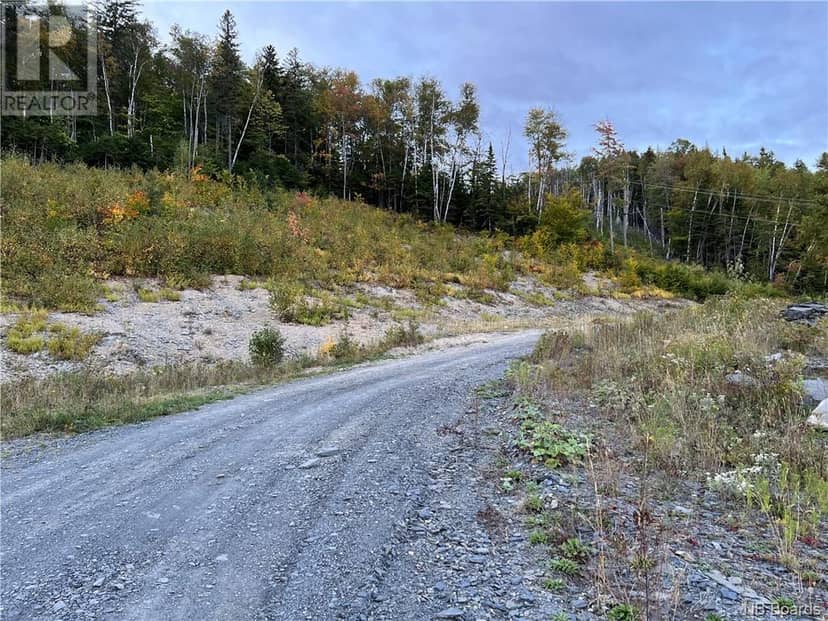 Lot 10 Rue de la Tour, Edmundston, photo 4