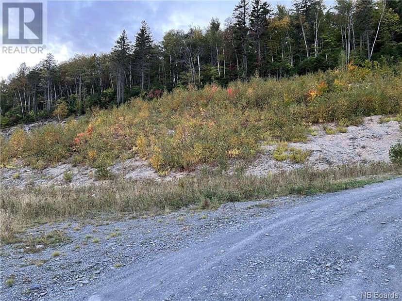 Lot 10 Rue de la Tour, Edmundston, photo 5