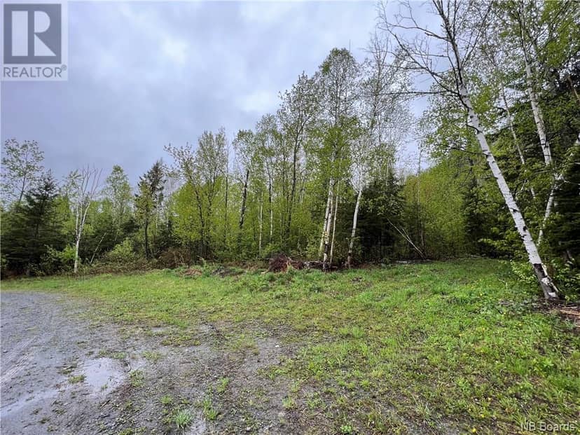 Lot 7 Guimond Avenue, Edmundston, photo 5