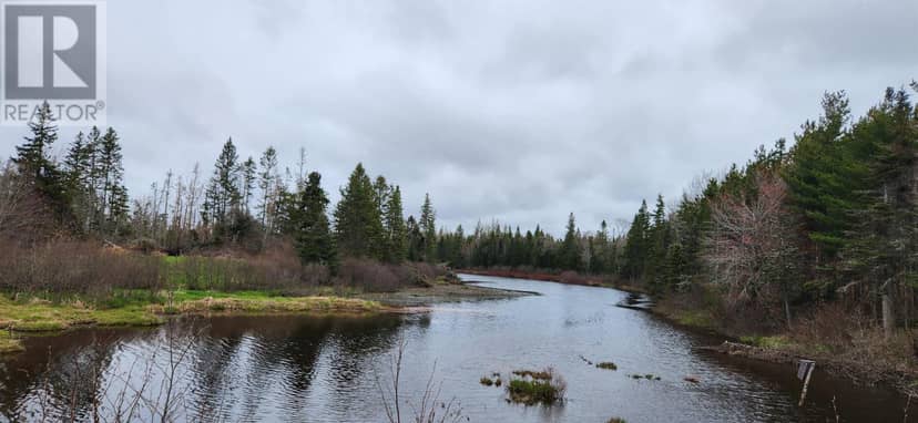 Lot Weatherby Road — photo 4 of 20