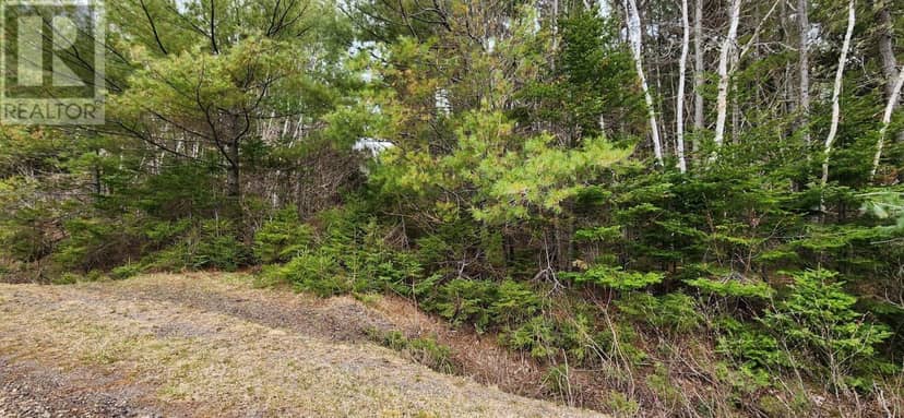 Lot 2 Mill Road — photo 11 of 23