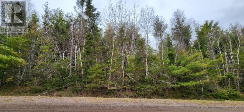Lot 2 Mill Road — photo 14 of 23