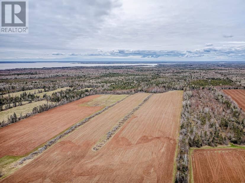 ACREAGE PRIMROSE Road — photo 3 of 5