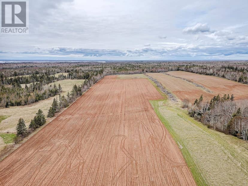 ACREAGE PRIMROSE Road, Launching, photo 2