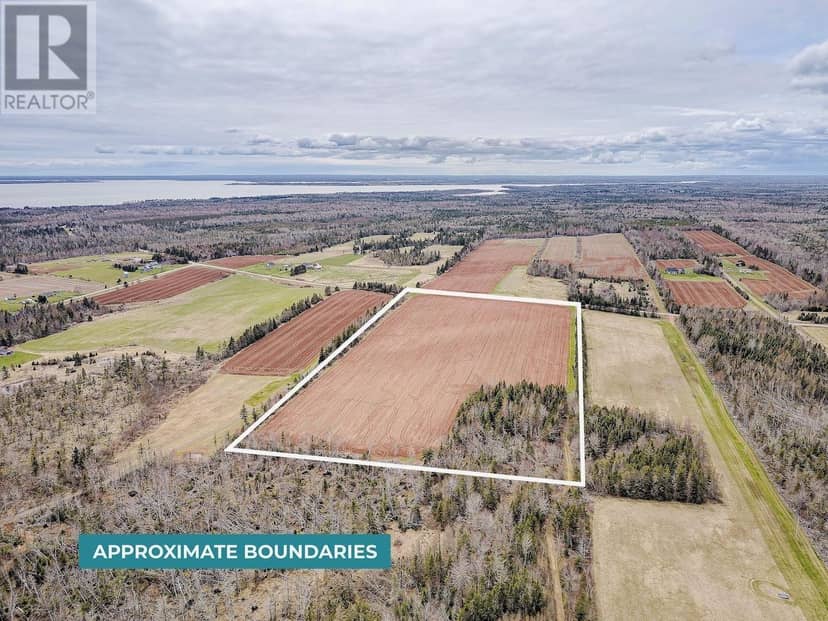ACREAGE PRIMROSE Road — photo 6 of 7