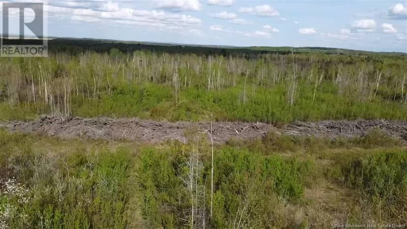 Lot 9 Tobin Road — photo 7 of 16