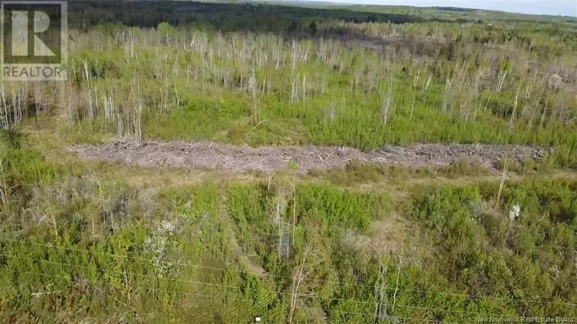 Lot 9 Tobin Road — photo 8 of 16