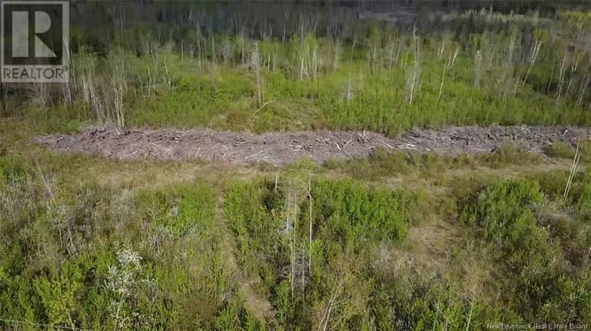 Lot 9 Tobin Road — photo 5 of 16