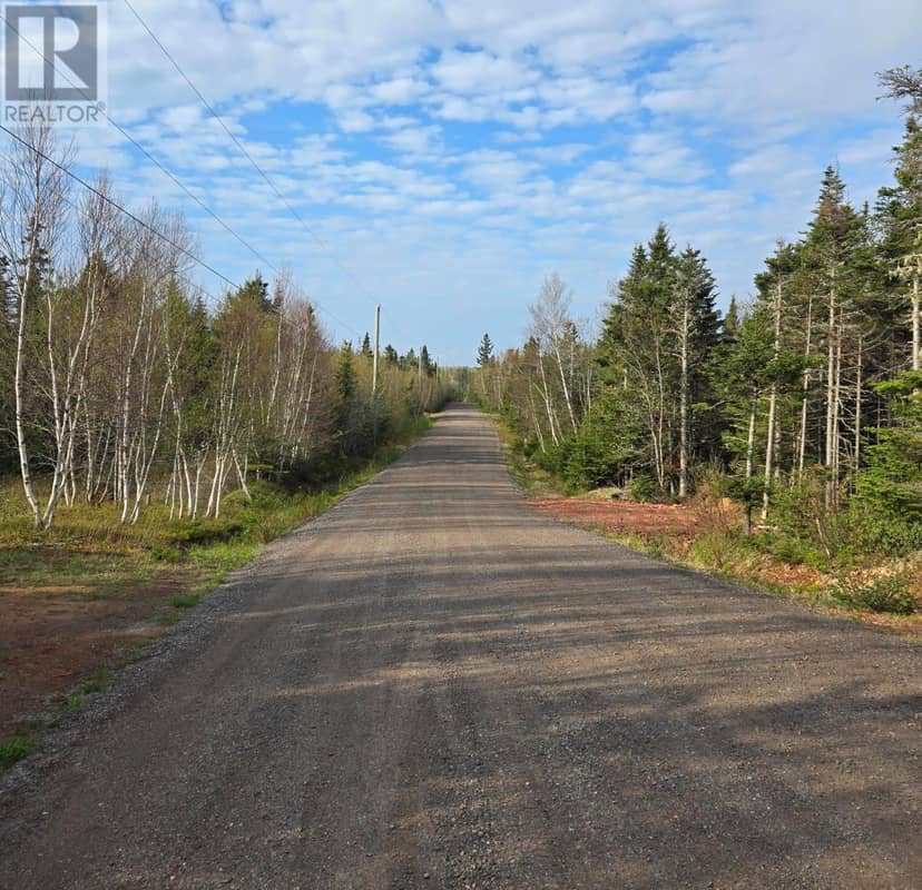 Lot 11 Riverview Drive, Fortune Bridge, photo 3