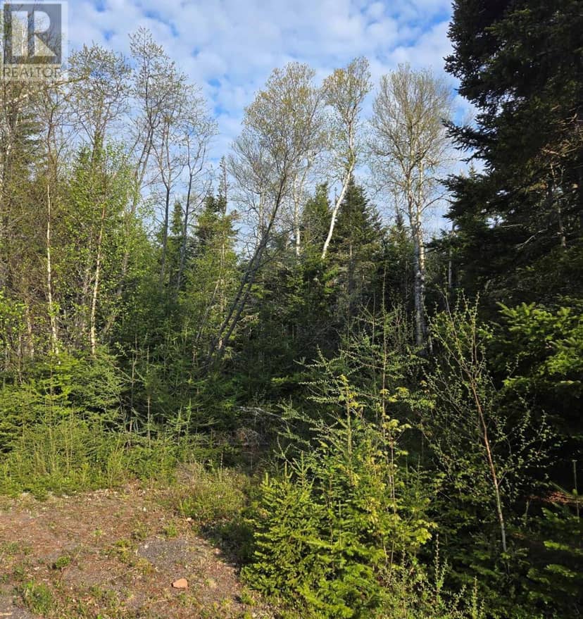 Lot 11 Riverview Drive, Fortune Bridge, photo 6