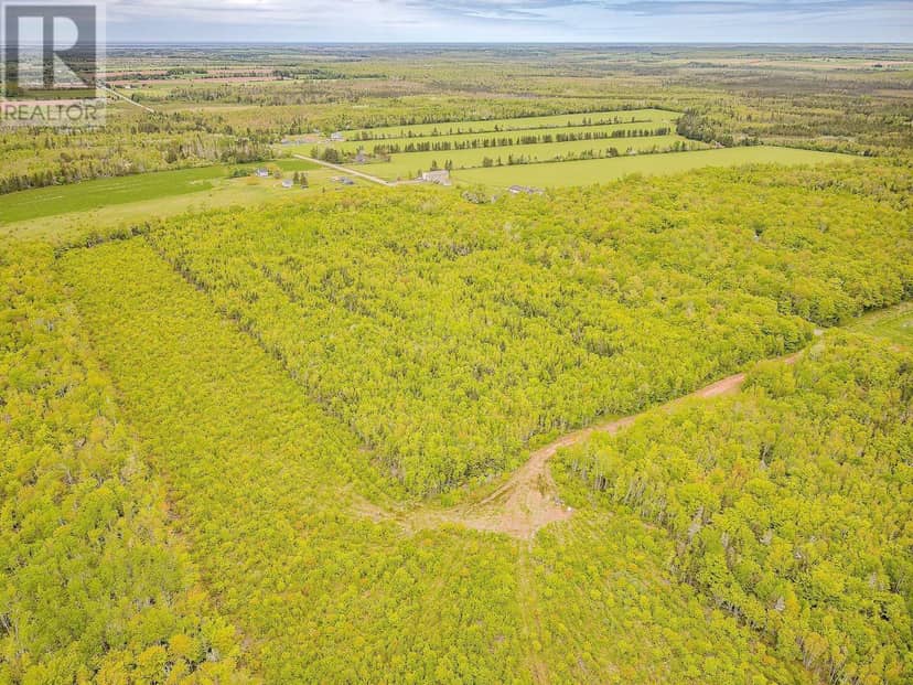 ACREAGE BANGOR Road — photo 6 of 7