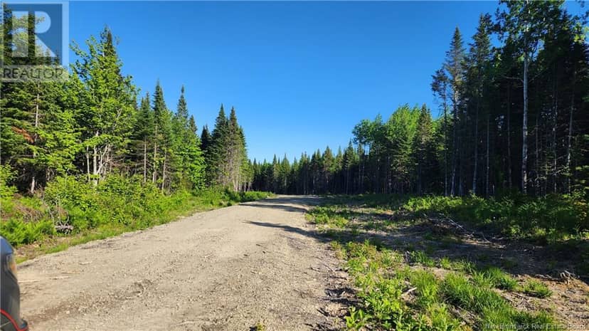 Lot2022-9 Church River Road, Lavillette, photo 4