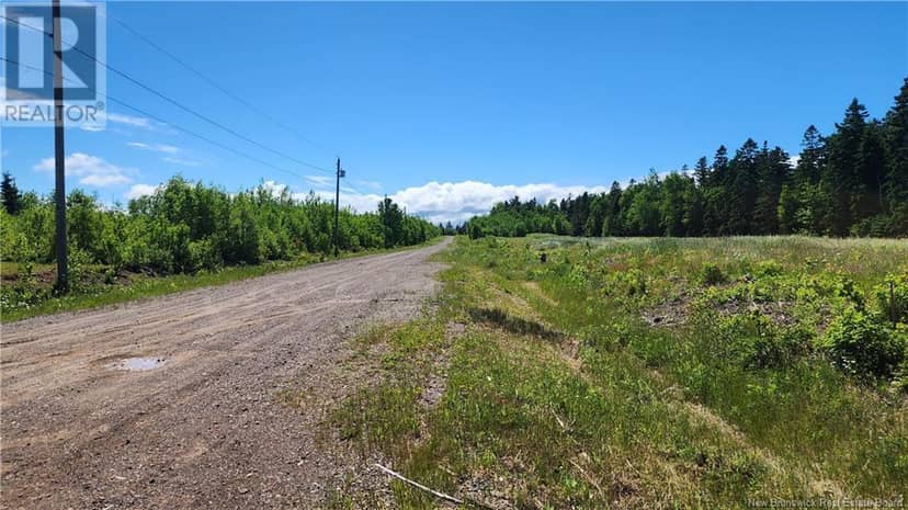 4034sm1de4 rue Alfreda, Tracadie