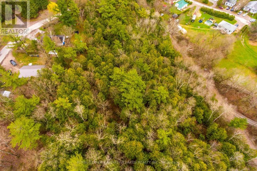 LT38-39 Silver Lake Road, Kawartha Lakes, photo 3