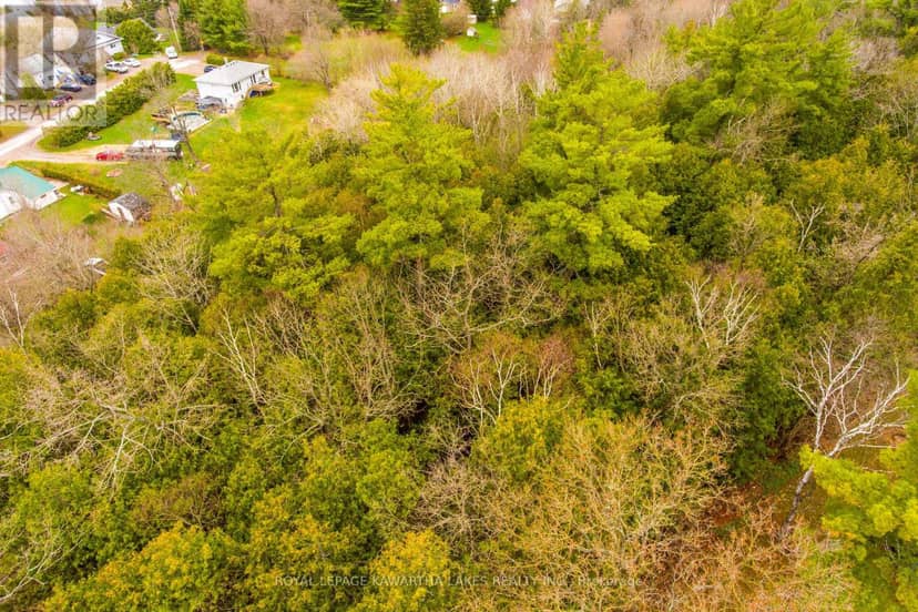 LT38-39 Silver Lake Road — photo 9 of 11