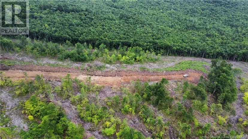 Lot 19 Crabbe Mountain — photo 6 of 14