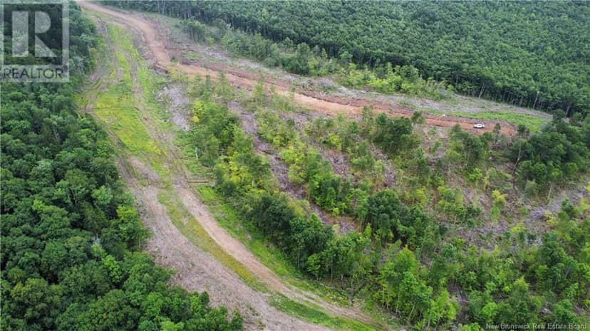 Lot 21 Crabbe Mountain, Central Hainesville, photo 5