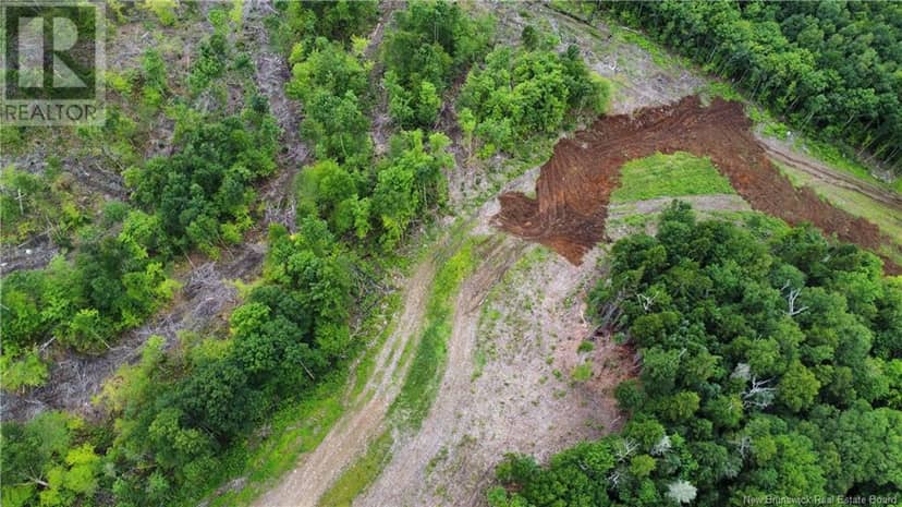 Lot 21 Crabbe Mountain, Central Hainesville, photo 6