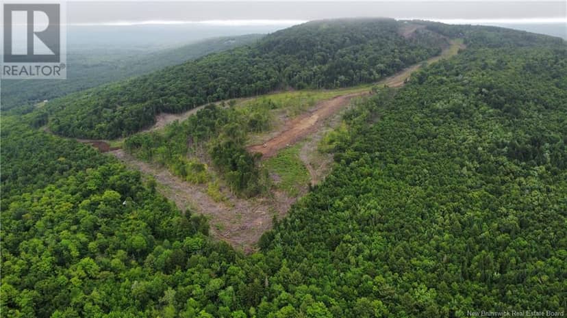 Lot 17 Crabbe Mountain, Central Hainesville, photo 2