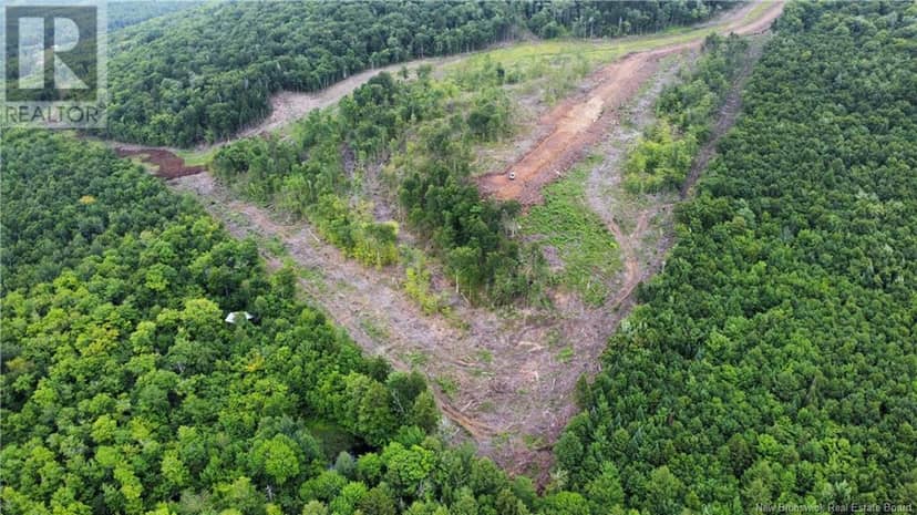 Lot 16 Crabbe Mountain, Central Hainesville, photo 4