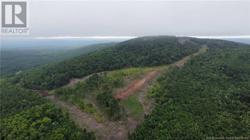 Lot 13 Crabbe Mountain, Central Hainesville, photo 3