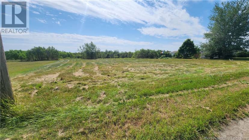 Lot15-1.1acres rue Jeaneau, Losier Settlement