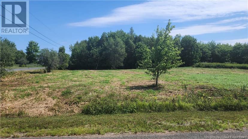 Lot15-1.1acres rue Jeaneau, Losier Settlement, photo 3