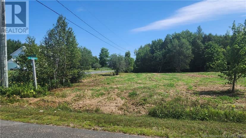 Lot15-1.1acres rue Jeaneau, Losier Settlement, photo 2