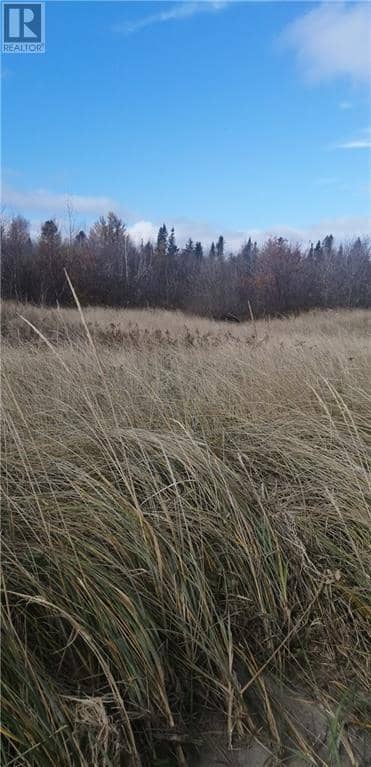 Lot Route 117 — photo 5 of 18