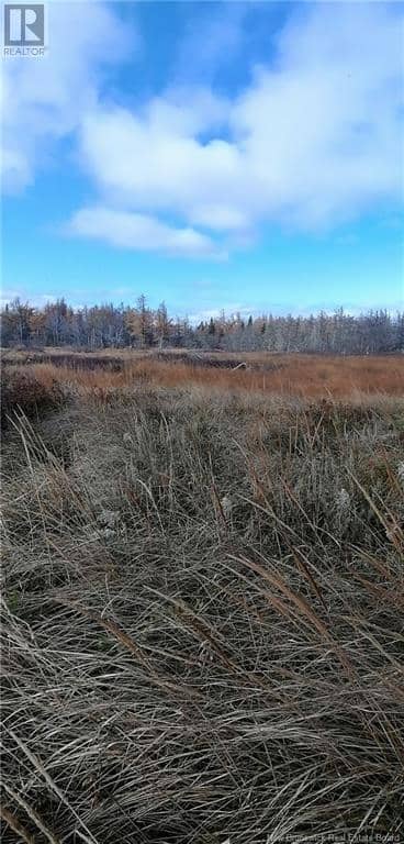 Lot Route 117, Pointe-Sapin, photo 8