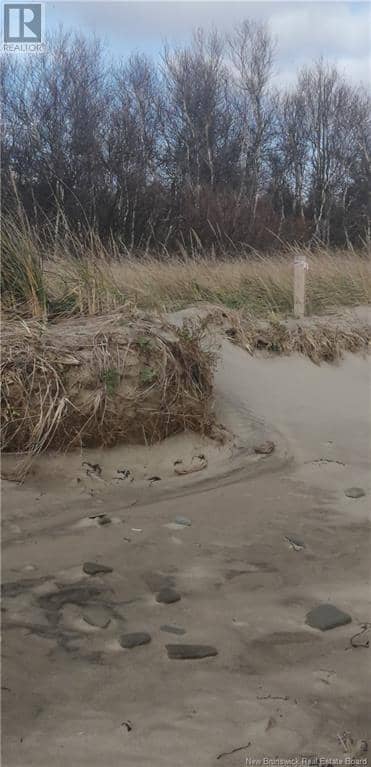 Lot Route 117, Pointe-Sapin, photo 6