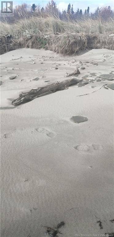 Lot Route 117, Pointe-Sapin, photo 3