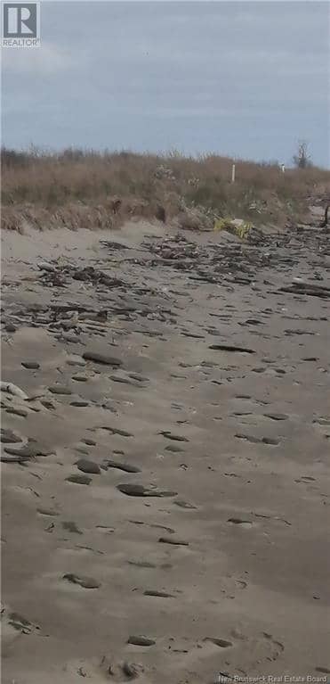 Lot Route 117, Pointe-Sapin, photo 7