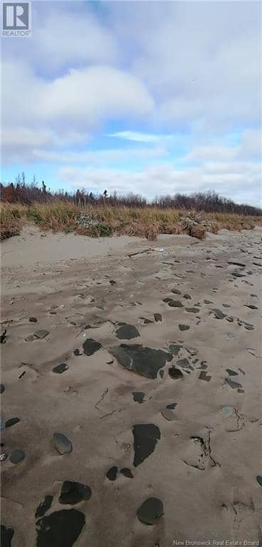 Lot Route 117 — photo 14 of 22