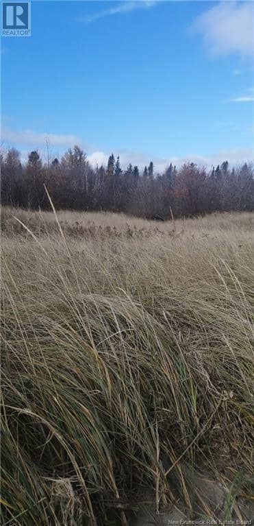 Lot 2 Robichaud, Pointe-Sapin, photo 5
