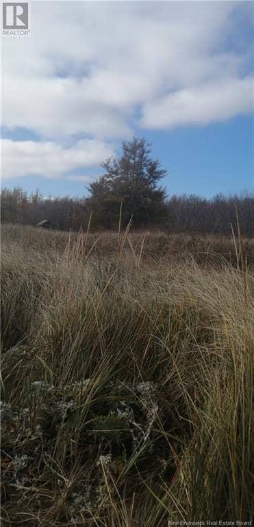 Lot 2 Robichaud, Pointe-Sapin, photo 6