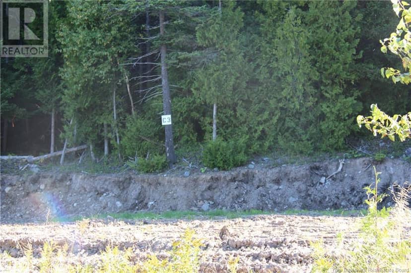 00 Drury Cove Road — photo 4 of 8